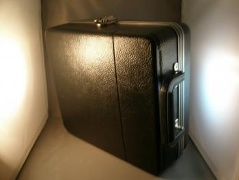 Carrying case